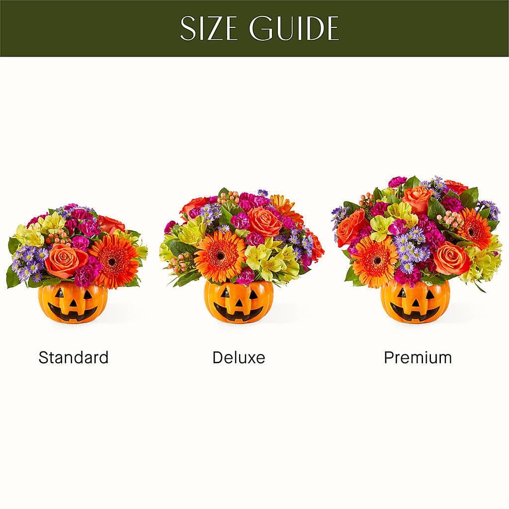 Tricks & Treats Pumpkin – My Touch Flowers, Watsonville CA
