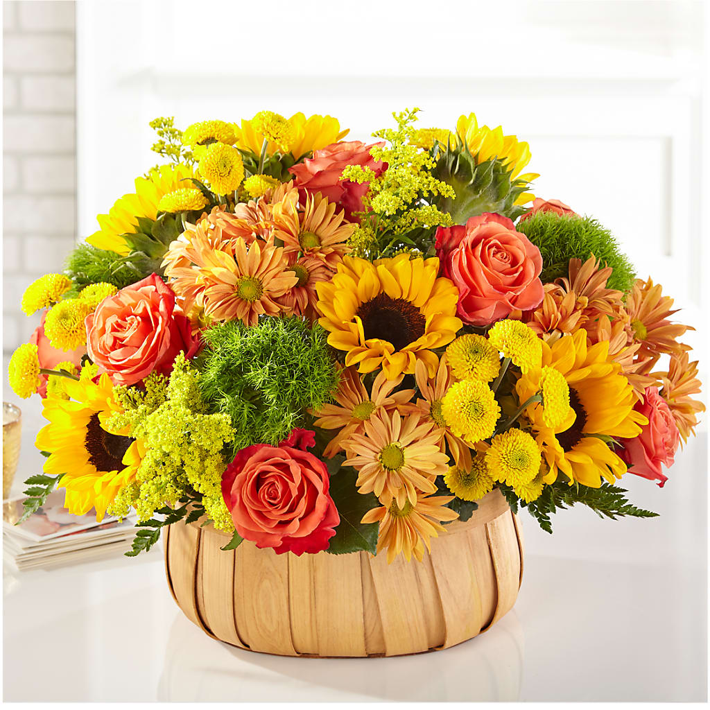 Harvest Sunflower Basket – My Touch Flowers, Watsonville CA