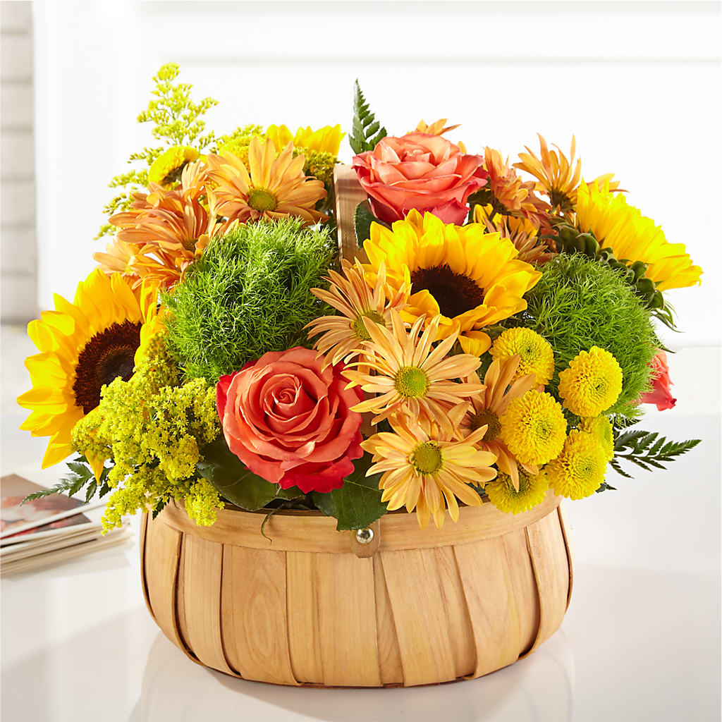 Harvest Sunflower Basket – My Touch Flowers, Watsonville CA