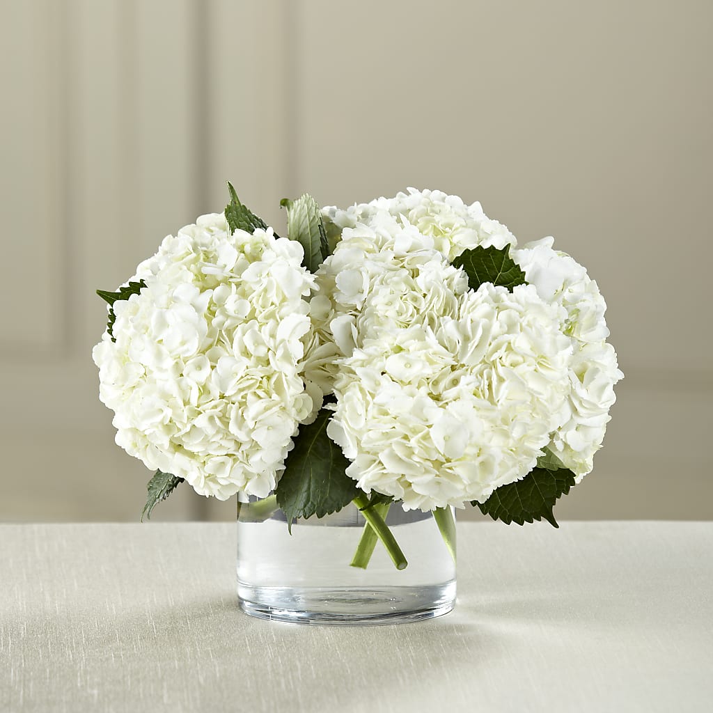 White Hydrangea Bouquet – My Touch Flowers, Watsonville CA