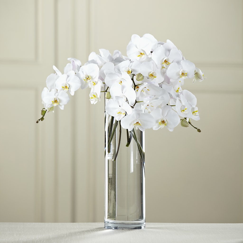 White Phalaenopsis Bouquet – My Touch Flowers, Watsonville CA