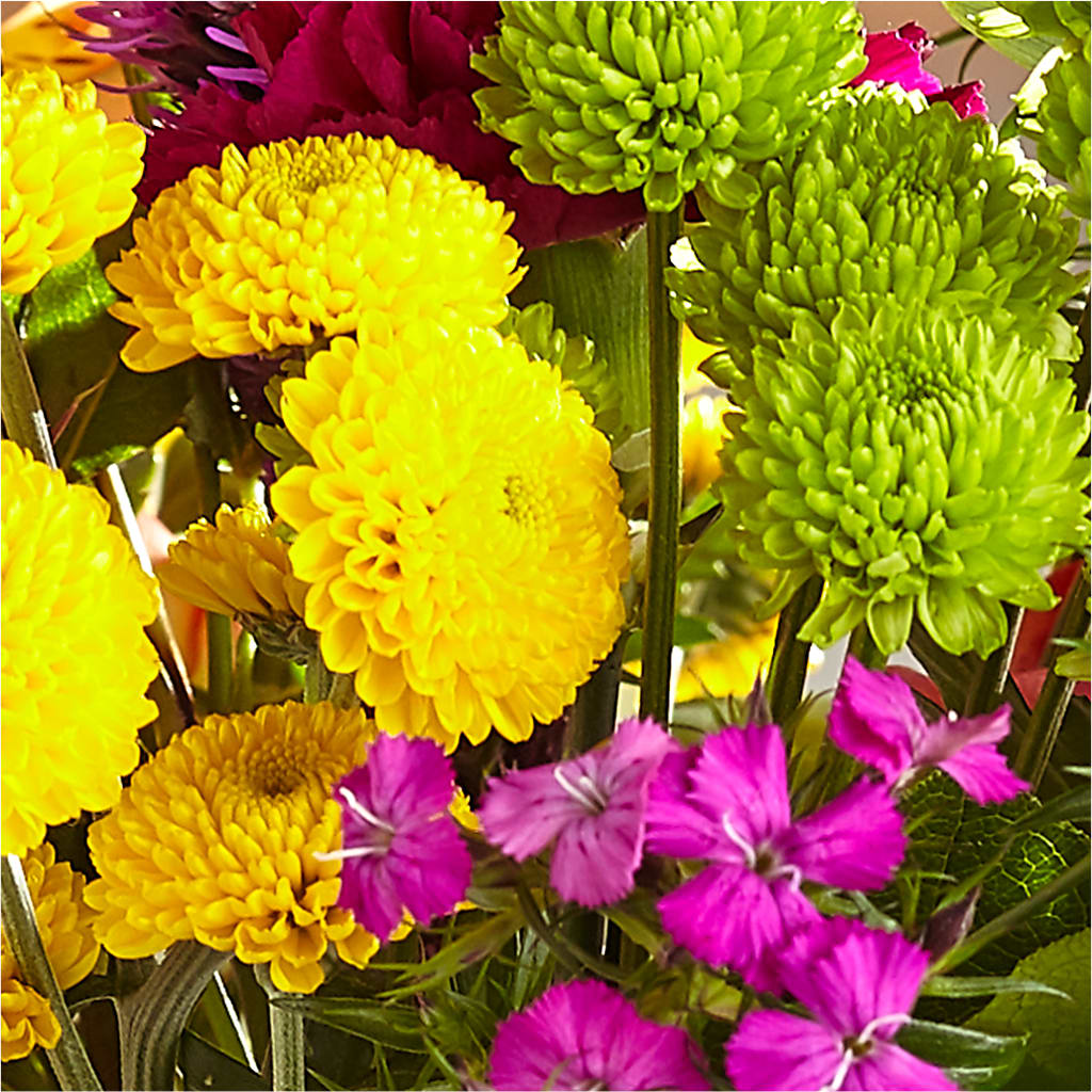 Bold & Bright – A Florist Original –  My Touch Flowers, Watsonville CA