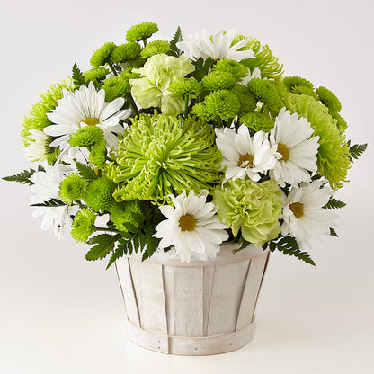 Lucky Charm Basket (Standard) –  My Touch Flowers, Watsonville CA