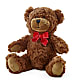 Adorable Plush Bear –  My Touch Flowers, Watsonville CA