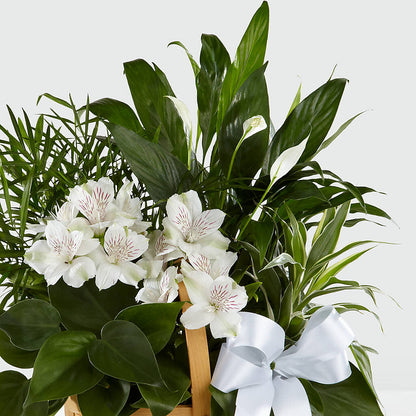 Peace & Serenity Dishgarden –  My Touch Flowers, Watsonville CA