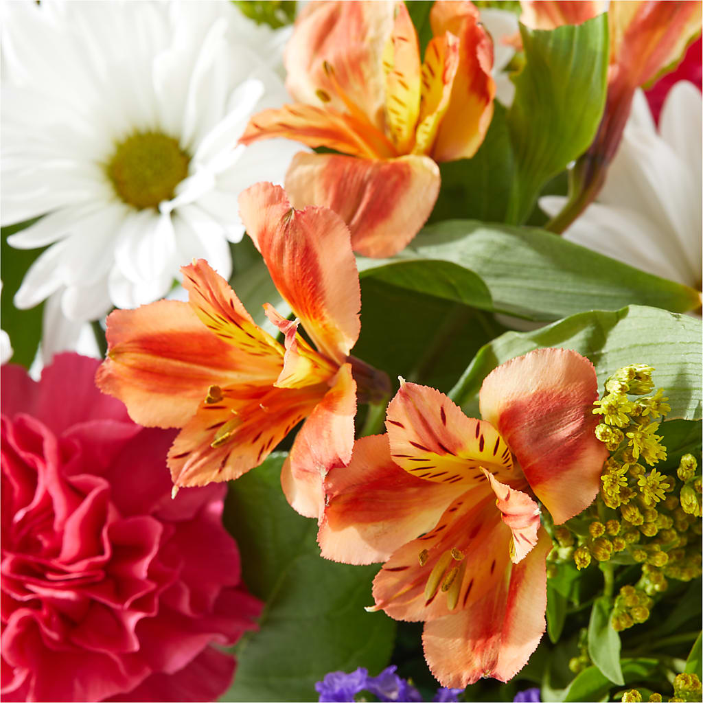 Oopsie Daisy Box Bouquet –  My Touch Flowers, Watsonville CA