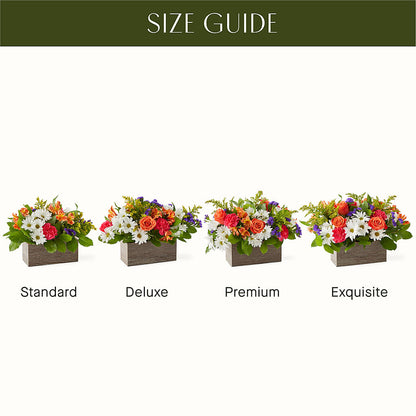 Oopsie Daisy Box Bouquet –  My Touch Flowers, Watsonville CA