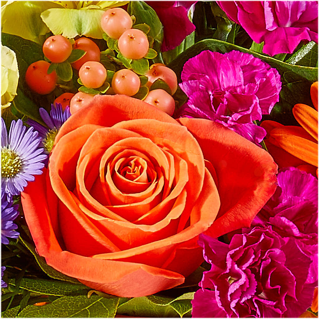 Tricks & Treats Pumpkin –  My Touch Flowers, Watsonville CA