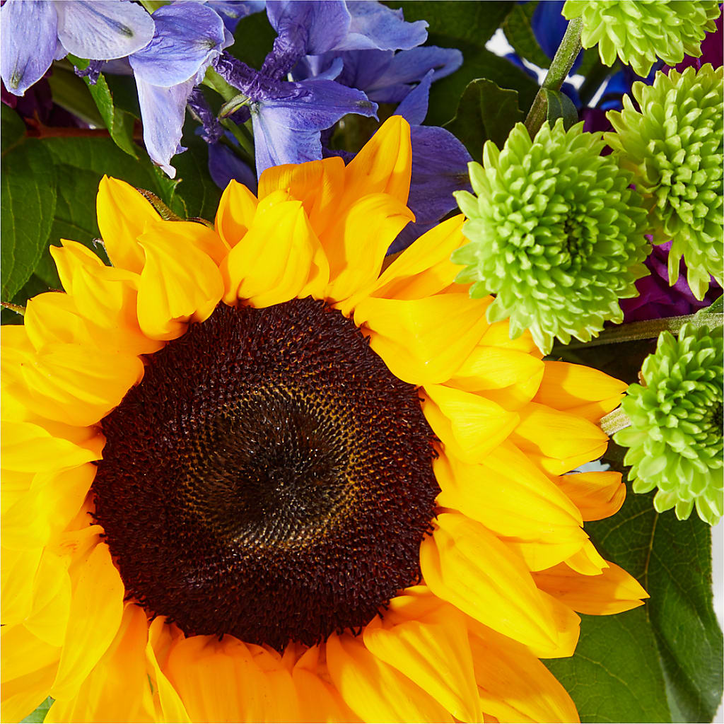 Catching Rays Bouquet –  My Touch Flowers, Watsonville CA