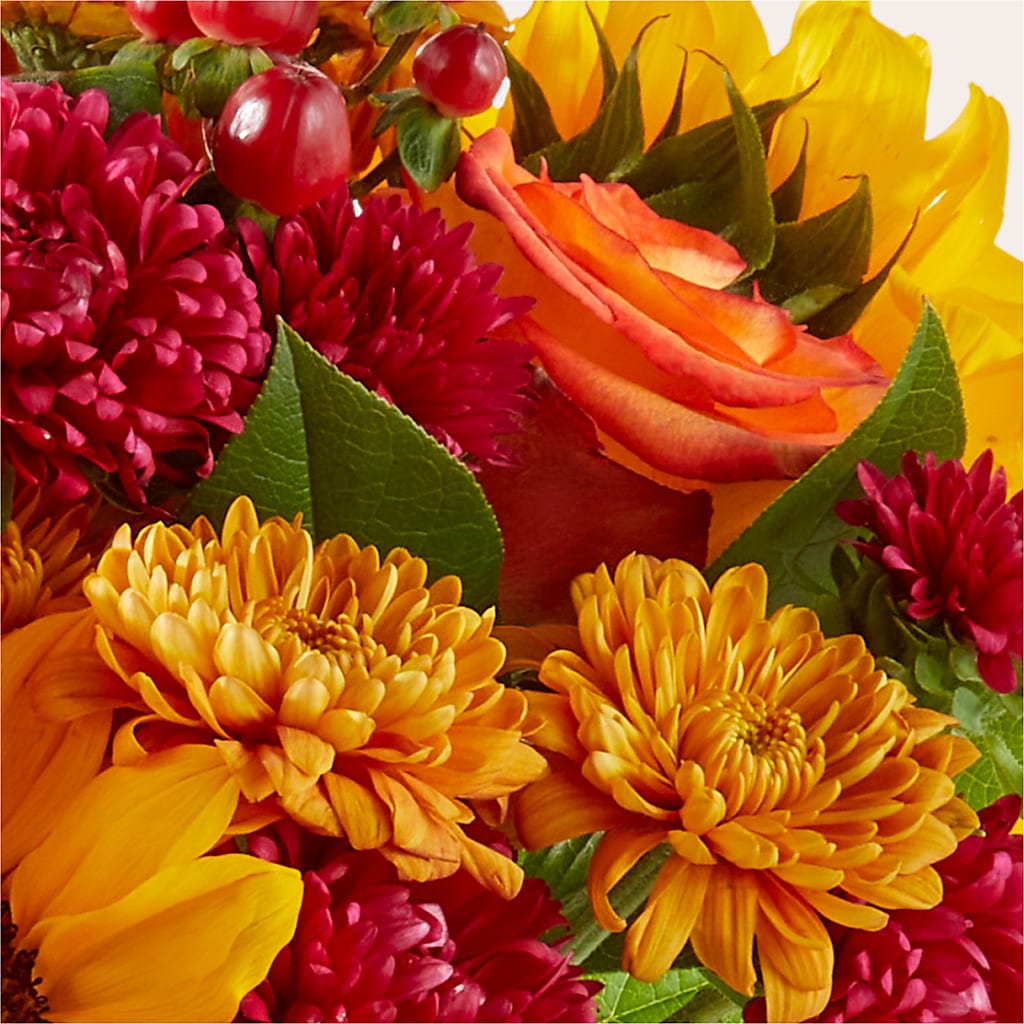 Sweater Season - A Florist Original –  My Touch Flowers, Watsonville CA
