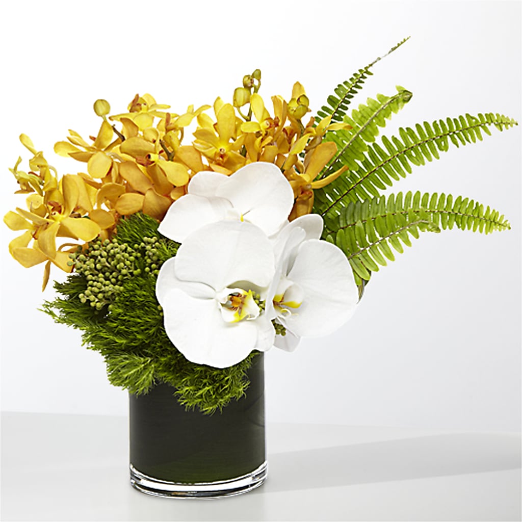 The Tropics –  My Touch Flowers, Watsonville CA