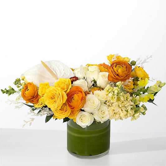 The Optimist –  My Touch Flowers, Watsonville CA