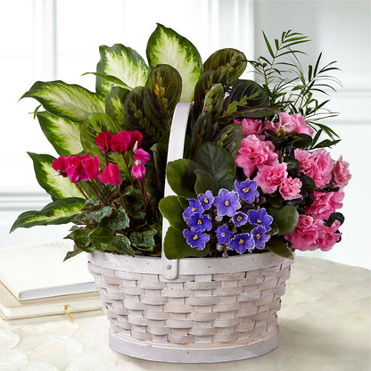 Peaceful Garden Planter –  My Touch Flowers, Watsonville CA