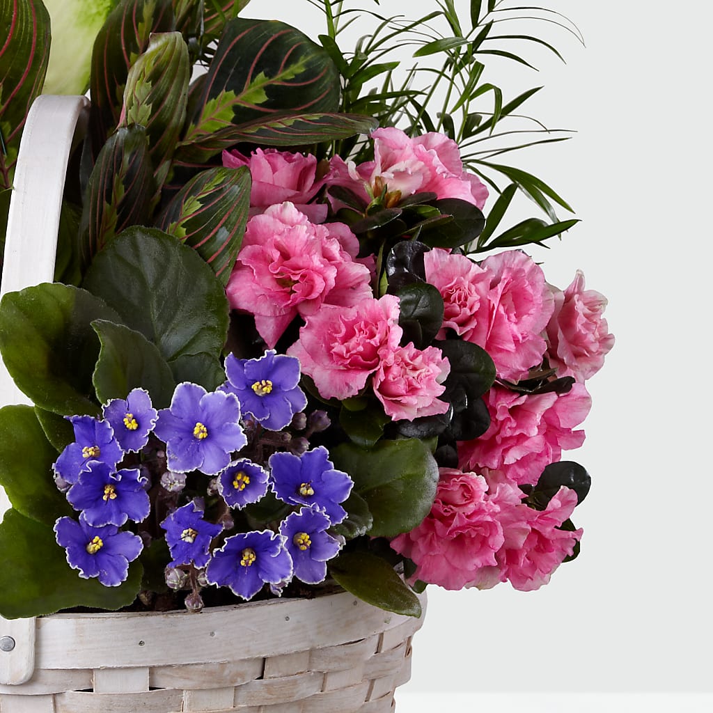 Peaceful Garden Planter –  My Touch Flowers, Watsonville CA
