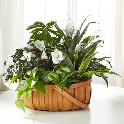 Serene Dishgarden –  My Touch Flowers, Watsonville CA