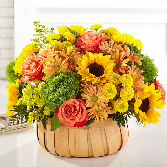 Harvest Sunflower Basket –  My Touch Flowers, Watsonville CA