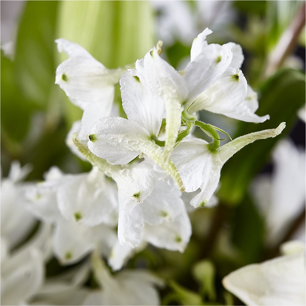 Classic Ivory – A Florist Original –  My Touch Flowers, Watsonville CA