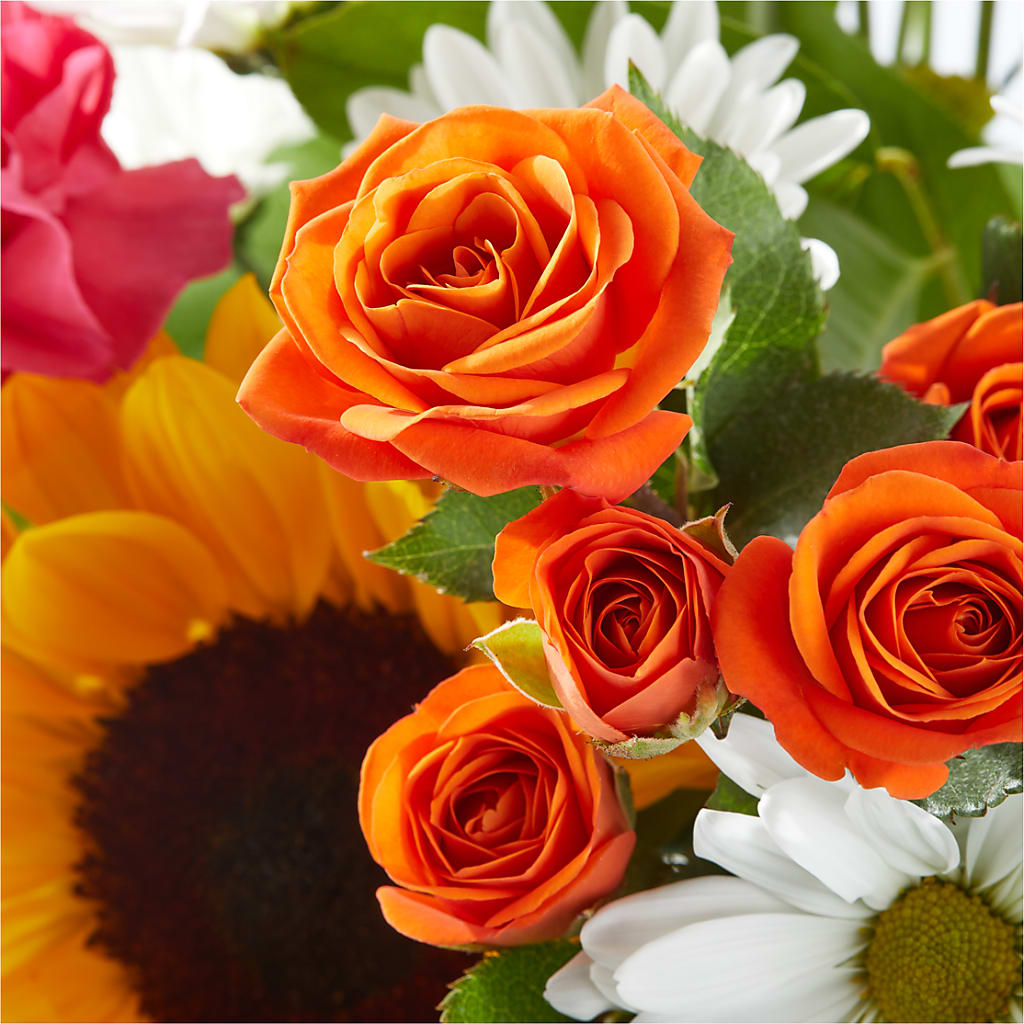 Sun-drenched Blooms Bouquet –  My Touch Flowers, Watsonville CA