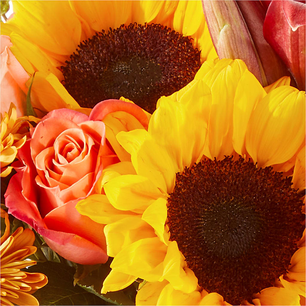 Acorn Lane Bouquet –  My Touch Flowers, Watsonville CA