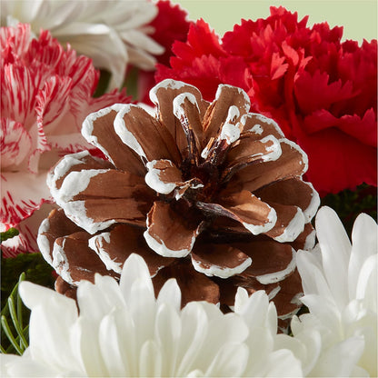 Candy Cane Lane Bouquet –  My Touch Flowers, Watsonville CA