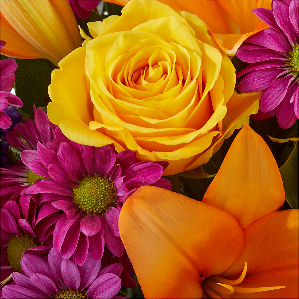 Colorful Visions Bouquet –  My Touch Flowers, Watsonville CA