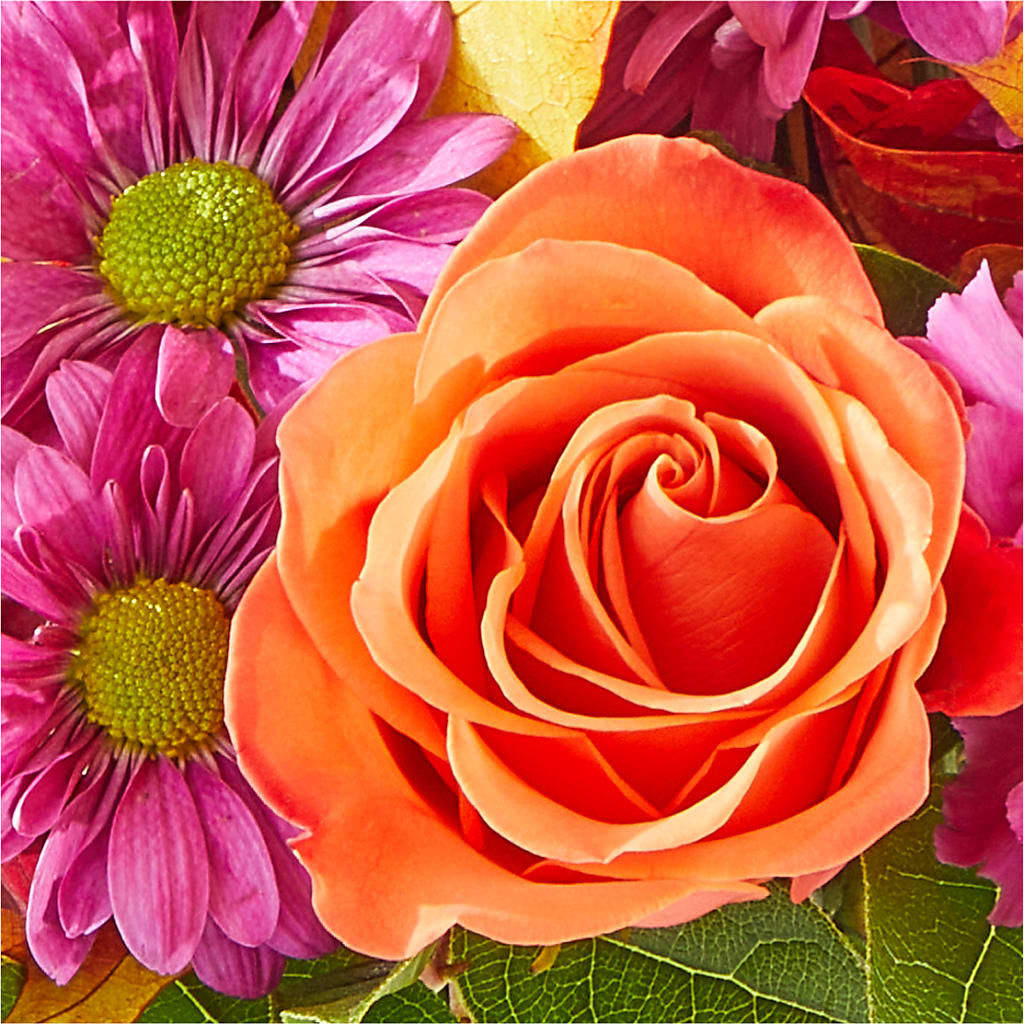 Mum's the Word Bouquet –  My Touch Flowers, Watsonville CA