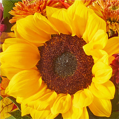 Sunny Side Bouquet –  My Touch Flowers, Watsonville CA