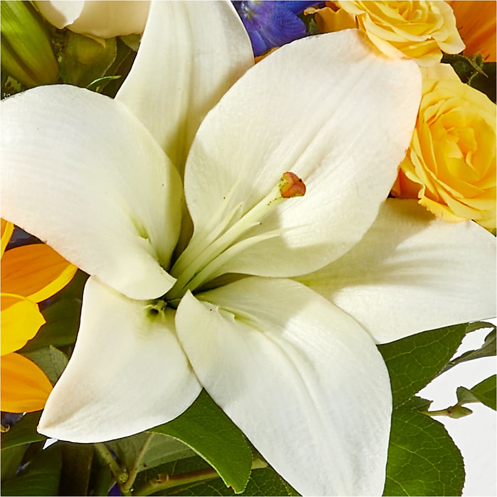 Wonderfully Sunny Bouquet –  My Touch Flowers, Watsonville CA