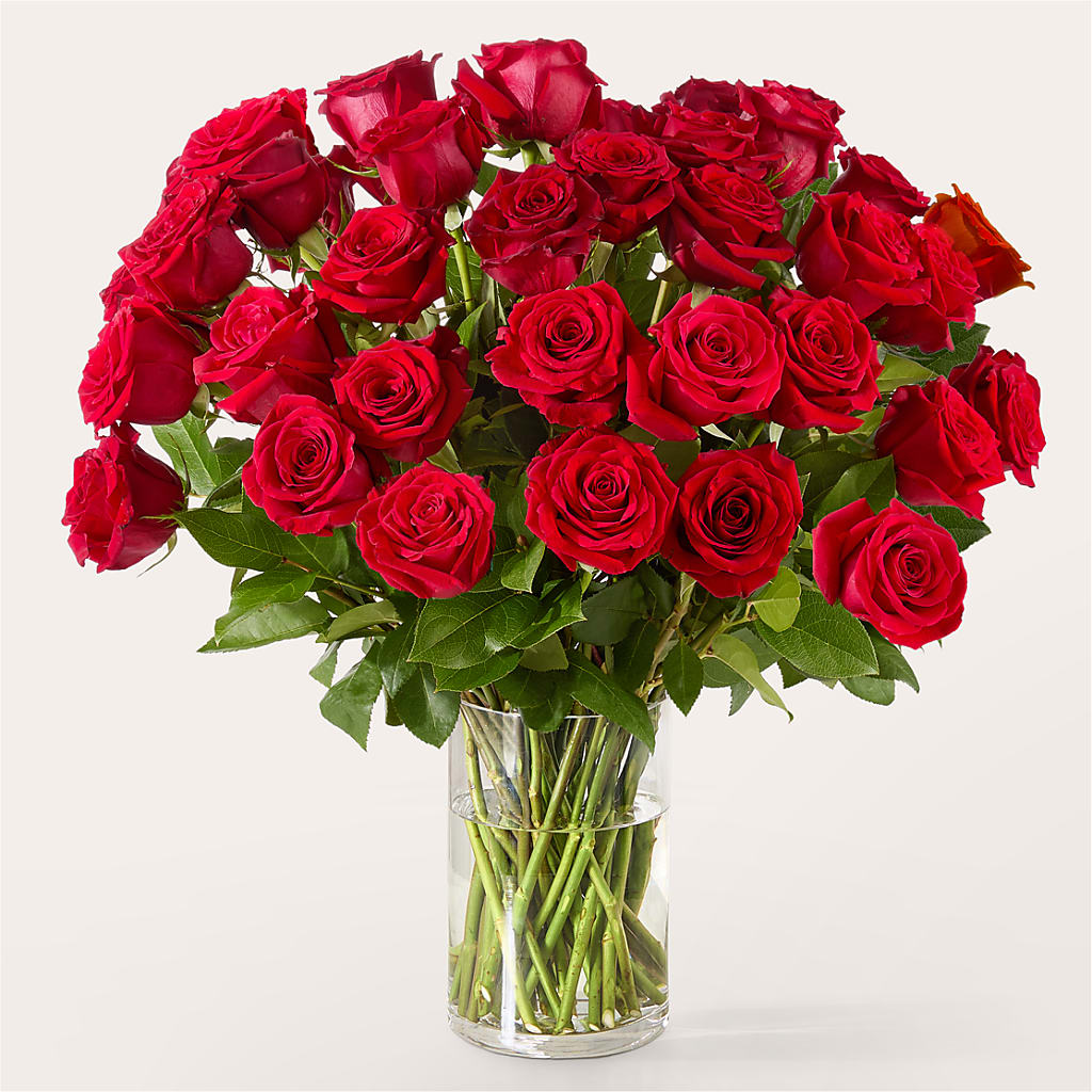 The One Red Rose Bouquet –  My Touch Flowers, Watsonville CA