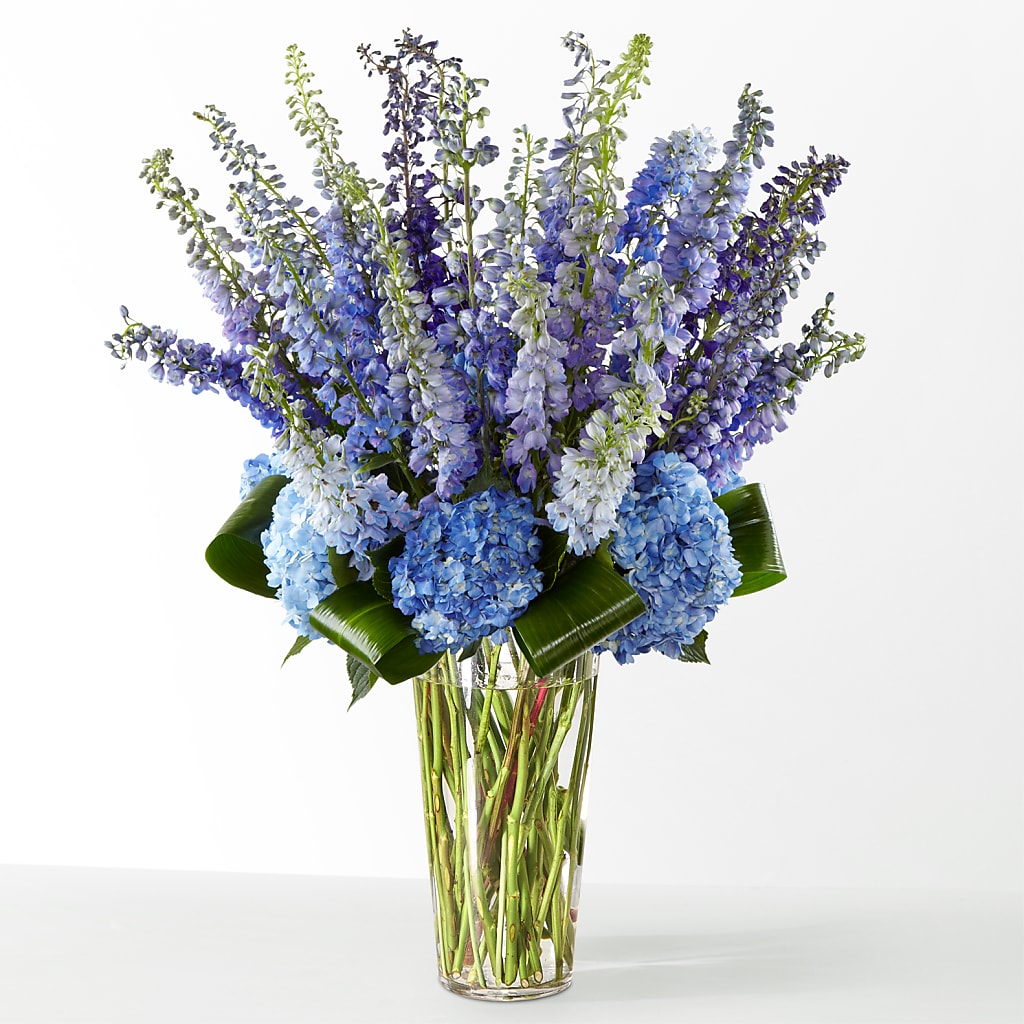 The Editorial –  My Touch Flowers, Watsonville CA