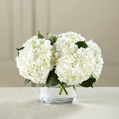 White Hydrangea Bouquet –  My Touch Flowers, Watsonville CA