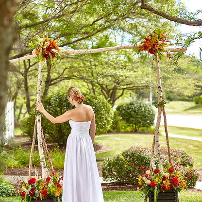 Arbor of Love Archway –  My Touch Flowers, Watsonville CA