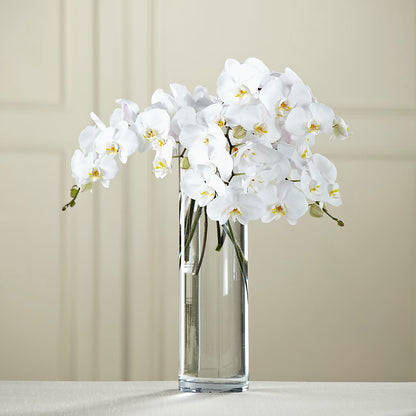 White Phalaenopsis Bouquet –  My Touch Flowers, Watsonville CA